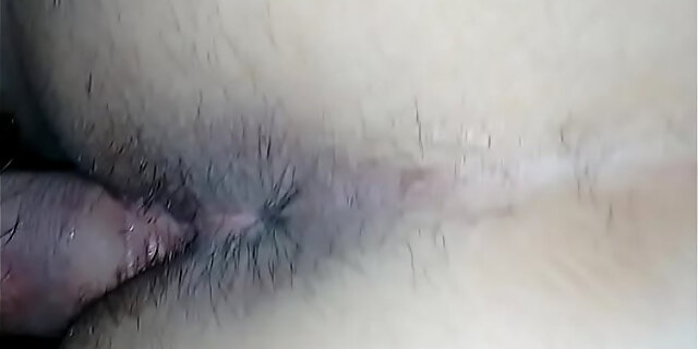 pussy